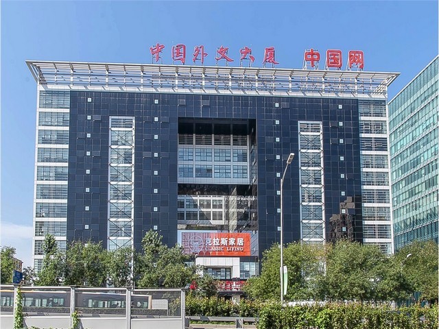 广州认识绿化树哪家便宜